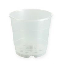 Vaso per piante per orchidee Ø12cm trasparente 10pz