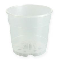 Vaso per piante per orchidee trasparente Ø15cm 10pz