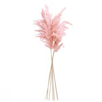 Prodotto Erba della Pampa essiccata Rosa 65-75 cm Decorazione floreale essiccata 6 pezzi.