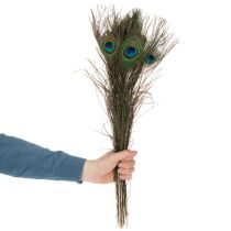 Prodotto Piume di pavone, vere piume di uccello per lavori artigianali e decorativi, 55 cm, 10 pezzi