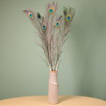 Prodotto Decorazione con piume di pavone, vere piume di uccello, lunghe 75-85 cm, 8 pezzi
