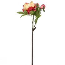 Prodotto Peonie Fiori di seta Fiori artificiali Rosa Giallo 68 cm