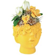 Prodotto Vaso in poliresina a forma di testa di pianta, giallo, 13,5×13×14cm