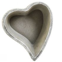 Prodotto Ciotola per piante cuore pianta cuore tomba ciotola decorazione da tavolo 20×21,5×8,5 cm