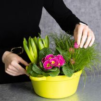 Prodotto Fioriera in lamiera, decorazione primaverile per il soggiorno, 25 cm, 3 pezzi