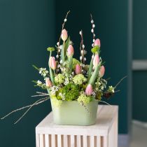 Prodotto Ciotola per piante ovale verde in plastica 20×10×11cm 3 pezzi