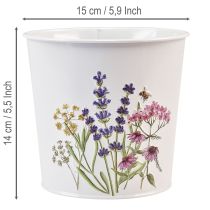 Prodotto Vaso per piante, fioriera, lamiera, fioriera Ø15cm H14cm