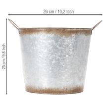 Prodotto Vaso per piante con manici, ciotola decorativa con finitura effetto ruggine, contenitore in metallo argentato Ø26cm H25.5cm