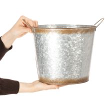 Prodotto Vaso per piante con manici, ciotola decorativa con finitura effetto ruggine, contenitore in metallo argentato Ø26cm H25.5cm