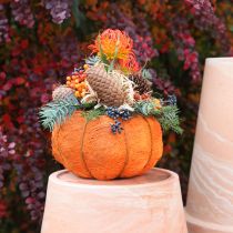 Prodotto Vaso per piante decorazione zucca arancione/giallo-verde sisal Ø21cm H12cm