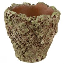 Prodotto Vaso per piante fioriera rustica effetto muschio Ø17cm H16,5cm 4 pezzi