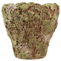 Prodotto Vaso per piante rustico verde marrone Ø21cm H19,5cm