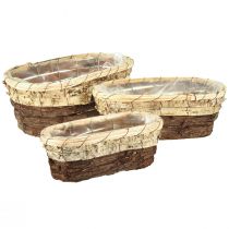 Prodotto Vassoio per piante, legno naturale, 3 colori, L29,5/25/23 cm, set da 3