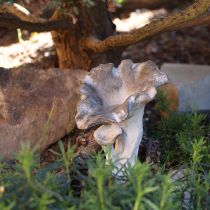 Prodotto Decorazione a forma di fungo in pietra fusa, decorazione da giardino, grigia 18×16×25cm