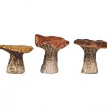 Prodotto Figure decorative di funghi ispirate alla natura - Varie tonalità di marrone, 6,4 cm - Accenti affascinanti per giardino e casa Confezione da 3