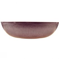 Prodotto Elegante ciotola in plastica viola 37x10,5 cm - versatile per la decorazione - 3 pezzi