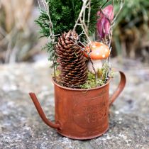 Prodotto Annaffiatoio decorativo color ruggine mini vaso per piante in metallo Ø10cm H9cm
