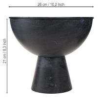 Prodotto Ciotola con base in metallo per trofeo antracite Ø26cm H21cm