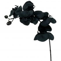 Prodotto Orchidea da decorare Nera 54cm