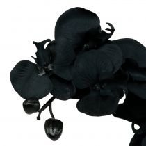 Prodotto Orchidea da decorare Nera 54cm