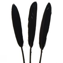 Prodotto Piume Nere Piume D&#39;oca Decorative Nere 11-14 cm 180 pz