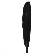 Prodotto Piume Nere Piume D&#39;oca Decorative Nere 11-14 cm 180 pz