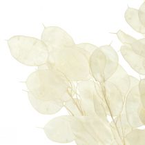 Prodotto Foglia Argento Luna Viola Lunaria Stabilizzata L70cm 20g