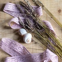 Prodotto Nastro di pizzo viola decorativo nastro fiore primavera W18mm L20m