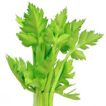 Prodotto Decorazione vegetale di gambi di sedano artificiali con tocco reale 30 cm