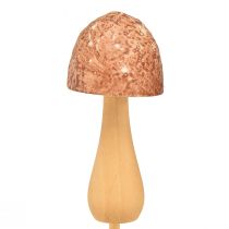 Prodotto Spina fiore fungo decorativo spina legno marrone Ø2,5 cm 8 pezzi