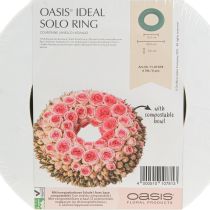 Prodotto OASIS® Anello per ghirlanda floreale in schiuma verde H3cm Ø25cm 6 pezzi