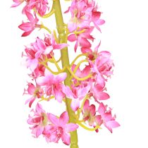 Prodotto Candela Steppe Desert Tail Rosa 106cm