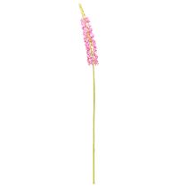 Prodotto Candela Steppe Desert Tail Rosa 106cm