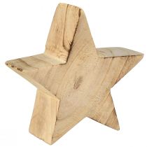 Prodotto Stella decorativa rustica in legno di paulownia - design naturale, Ø 15 cm, spessore 6 cm - decorazione in legno versatile - 2 pezzi