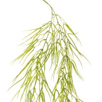 Prodotto Succulenta verde pendente 145cm