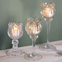 Prodotto Portacandele in vetro, a forma di fiore decorativo per un ambiente elegante, 17 cm