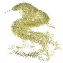 Prodotto Tillandsia decorativa da appendere Tillandsia artificiale verde bianco 180 cm