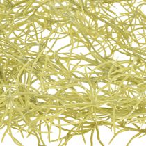 Prodotto Tillandsia decorativa da appendere Tillandsia artificiale verde bianco 180 cm