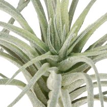 Prodotto Tillandsia succulenta piante verdi artificiali 13cm