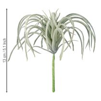 Prodotto Tillandsia succulenta piante verdi artificiali 13cm