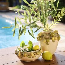 Prodotto Ciotola in ceramica con limoni – Ciotola decorativa mediterranea per tavola e cucina Ø21,5cm H8,5cm