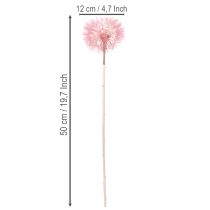 Prodotto Decorazione di fiori secchi con tarassaco gigante, elegante accessorio per la casa, 12 cm, 4 pezzi