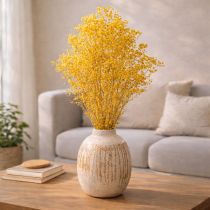 Prodotto Bouquet di fiori secchi con gypsophila. Rami fioriti decorativi adatti per decorazioni stagionali da tavola. 70 cm