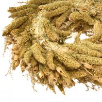 Prodotto Ghirlanda decorativa secca con cardo e miglio in giallo-verde oliva, stile rustico naturale, Ø28cm, versatile decorazione da parete e da tavolo