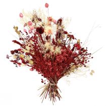 Prodotto Bouquet di fiori secchi in stile Boho, cardo fragola e fiordaliso in rosso sbiancato, realistico, 150 g