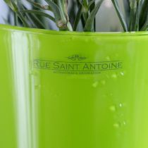 Prodotto Vaso per fiori verde Vaso decorativo Fizzy Olive Ø16,5cm H27cm