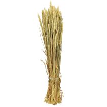 Prodotto Mazzo di grano grano decorativo naturale 1 mazzo 150g