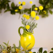 Prodotto Vaso limone brocca decorativa in ceramica giallo limone H18,5 cm