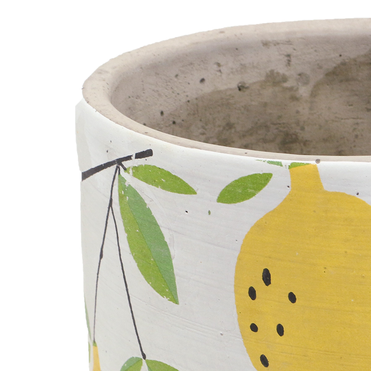 Peste Transistor Orso vaso per fiori moderno uno Patetico Sala