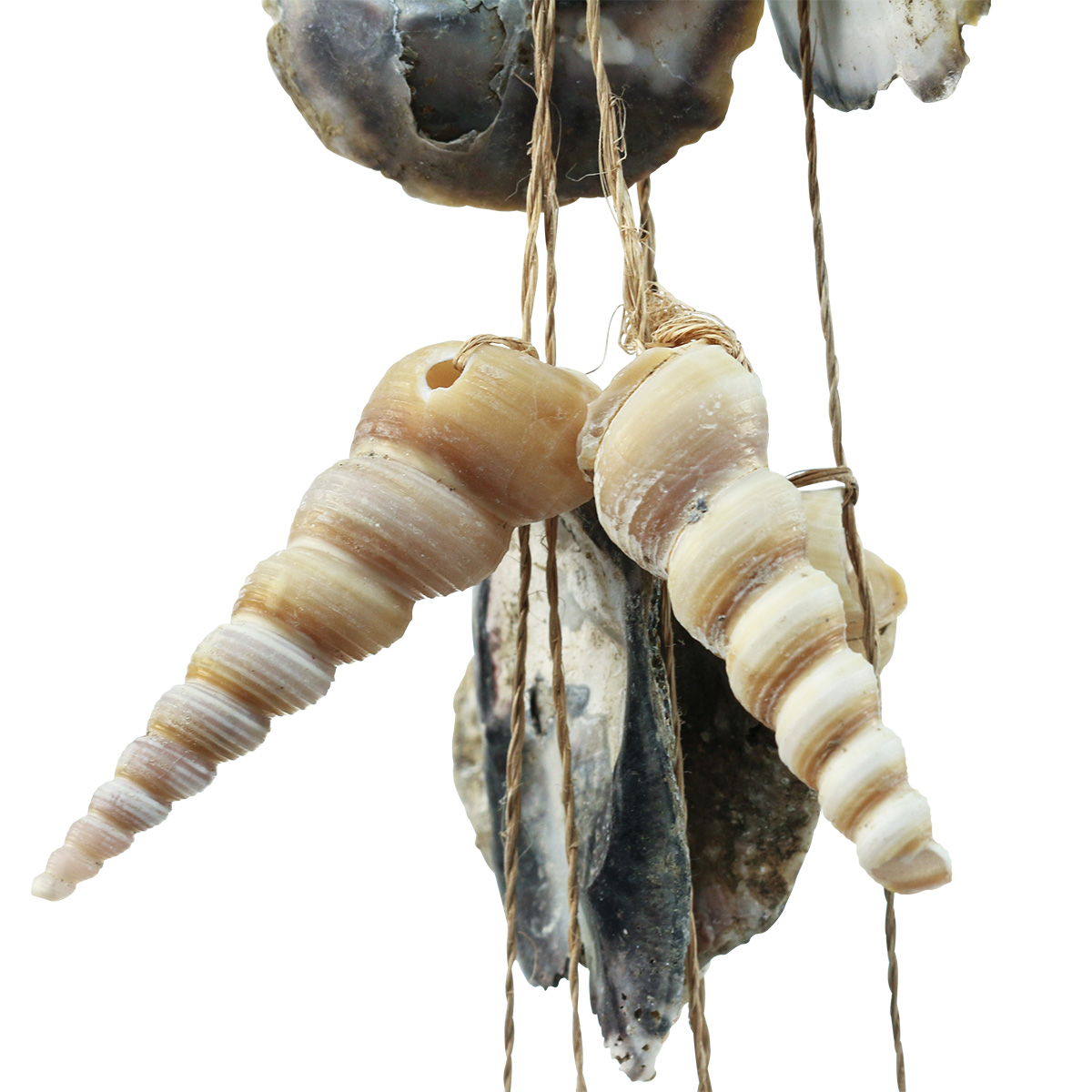 Fior di conchiglia decorativo, rustico ⚔️ Negozio Medievale